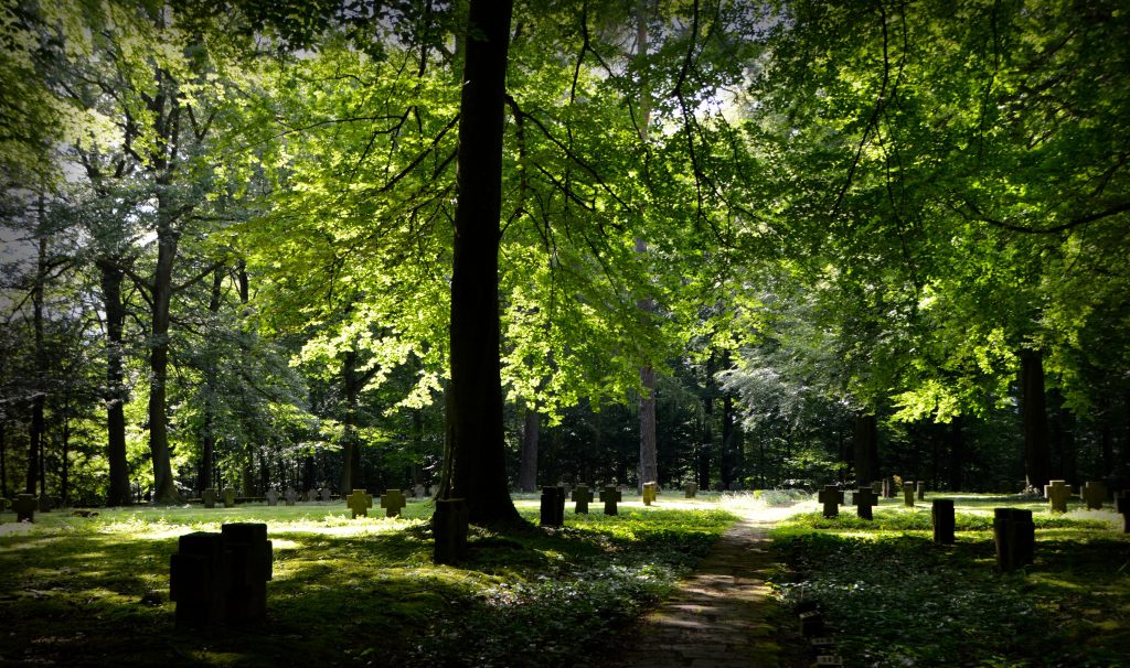 funeral burial cemetery